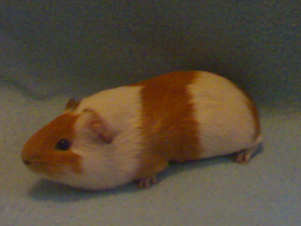 21112008402.jpg