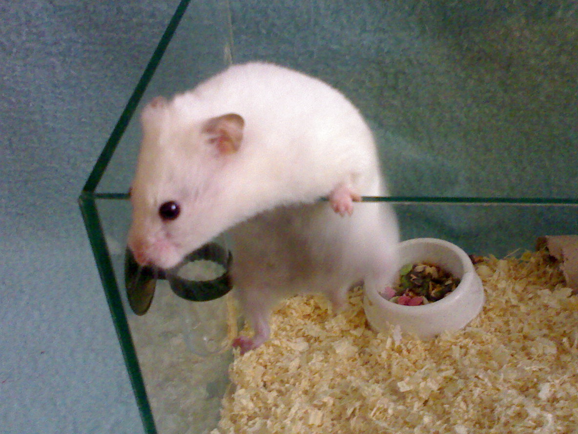 21112008376.jpg