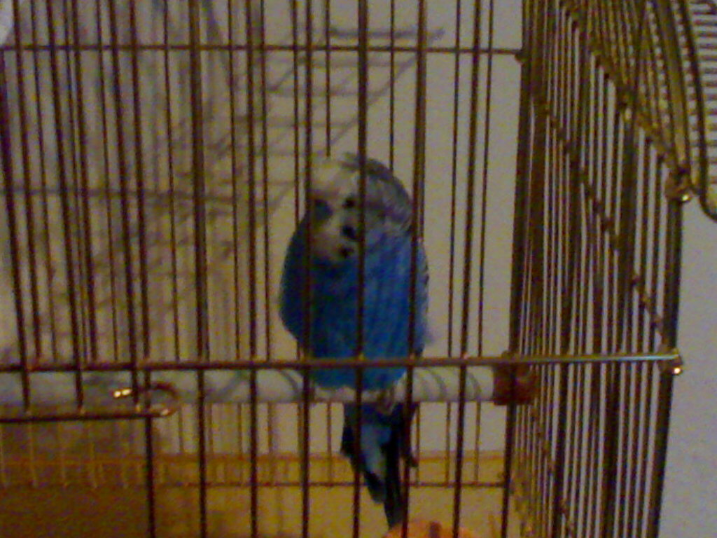 21112008390.jpg