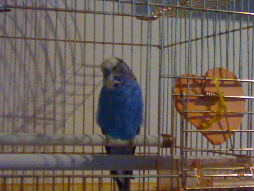 21112008391.jpg