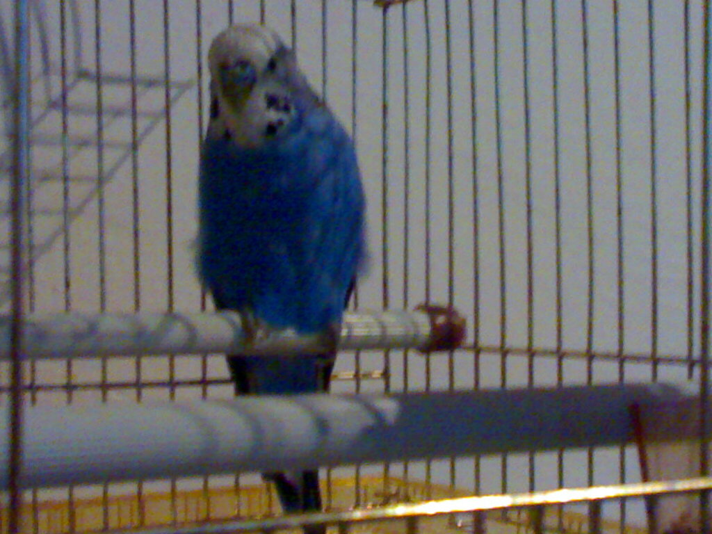 21112008392.jpg