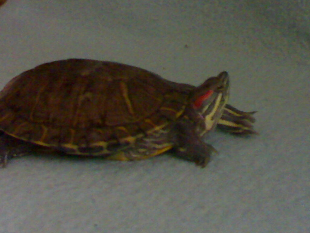 21112008381.jpg