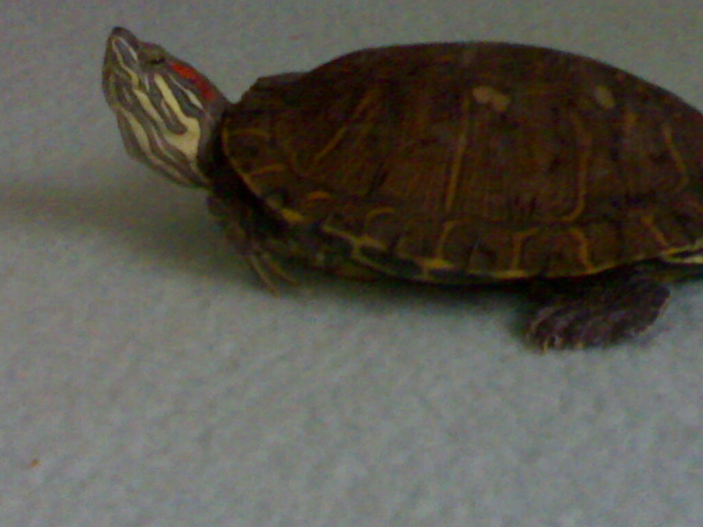 21112008382.jpg